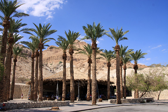 Ein Gedi