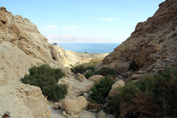 Ein Gedi