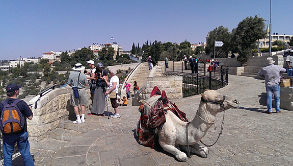 Mount of Olives