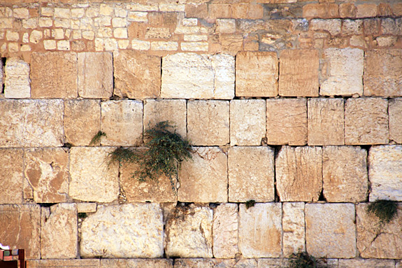 The Western Wall Stones