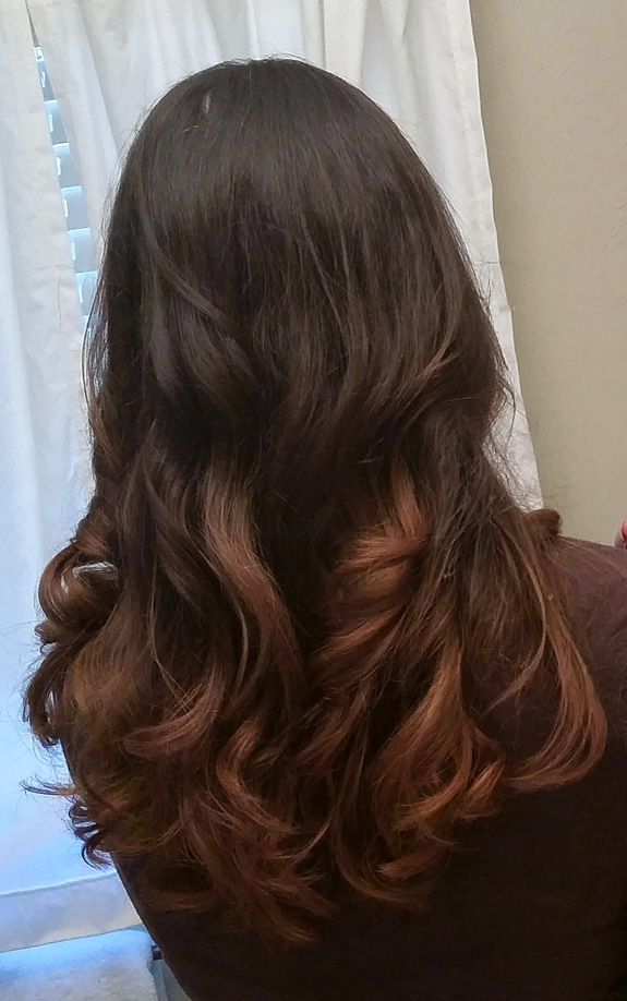 Ombre Hairstyle - Dark Brown Long Hair